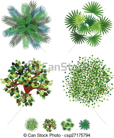 388x470 Trees Top View For Landscape Vector Illustration On White Eps