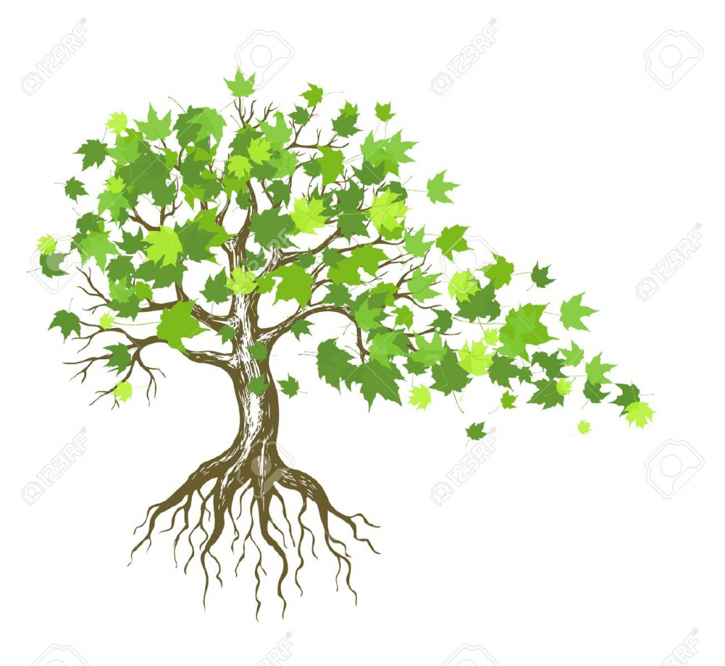1024x940 Tree With Roots Drawing