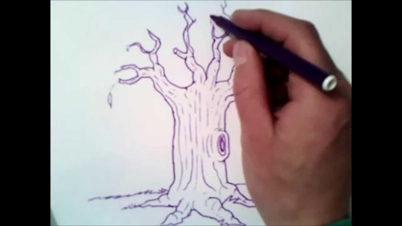 1280x720 How To Draw A Tree Without Leaves How To Draw A Tree Without