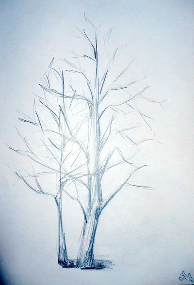 400x588 How To Draw Realistic Trees