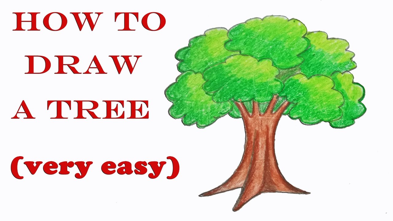 1280x720 How To Draw A Tree Step By Step ( Very Easy)
