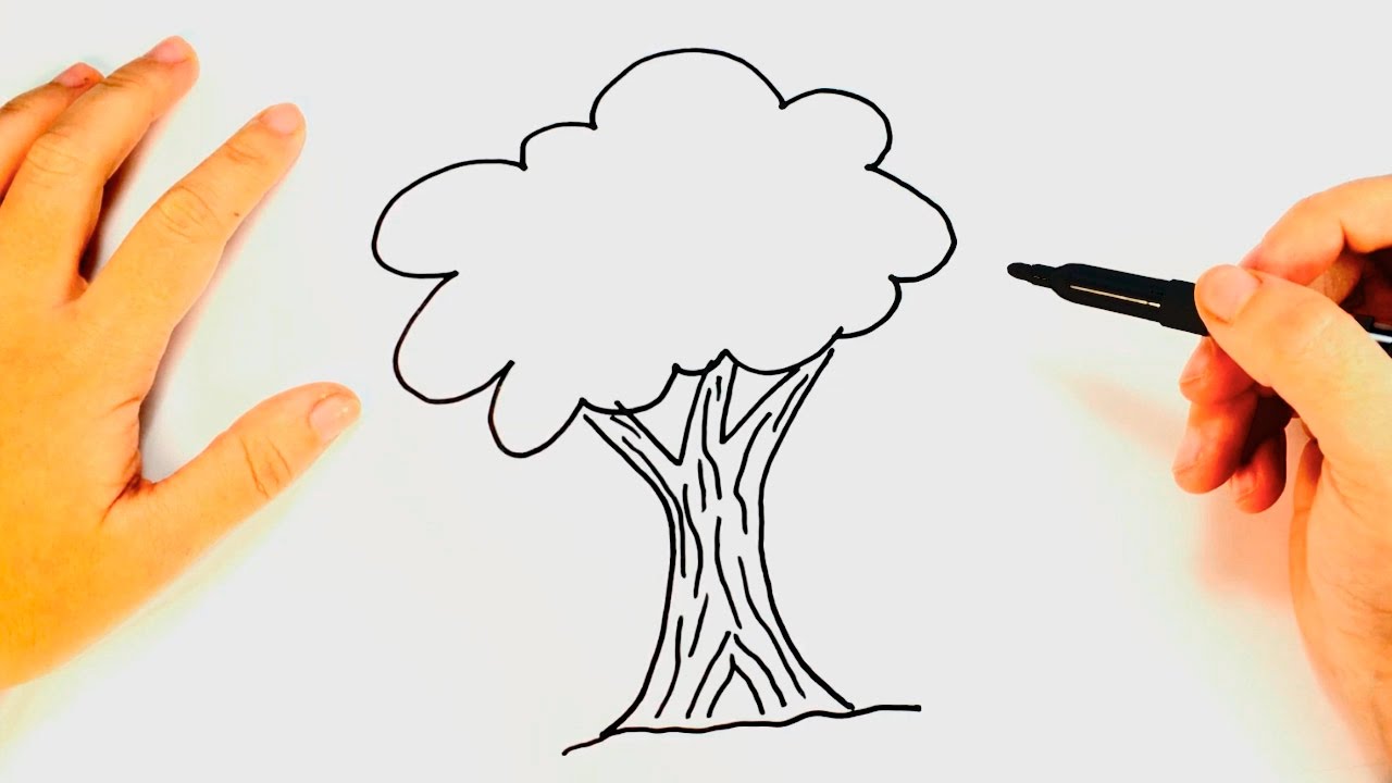 1280x720 How To Draw A Tree For Kids Tree Drawing Lesson Step By Step