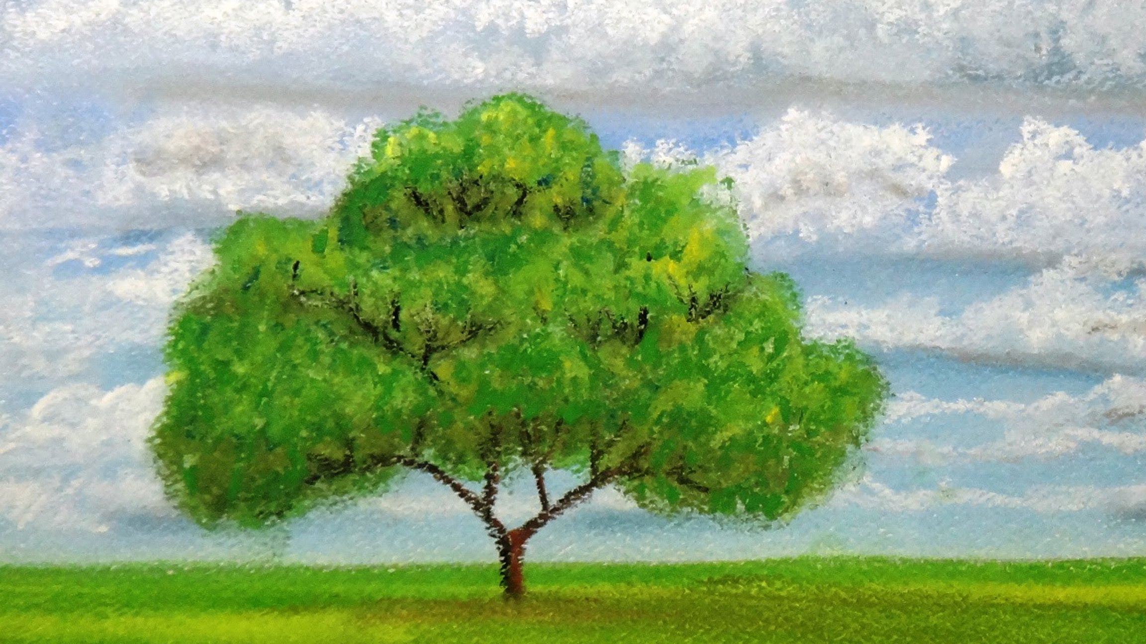 2304x1296 How To Draw A Tree