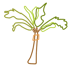 250x250 To Draw Palm Trees