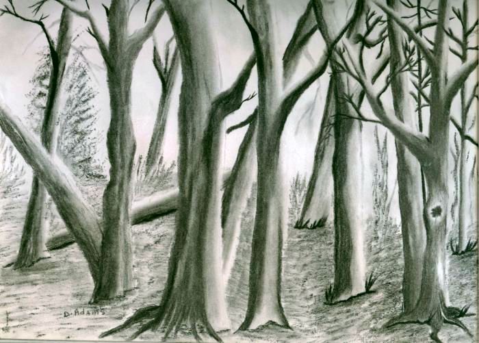 700x501 Trees Debbie Adams Foundmyself