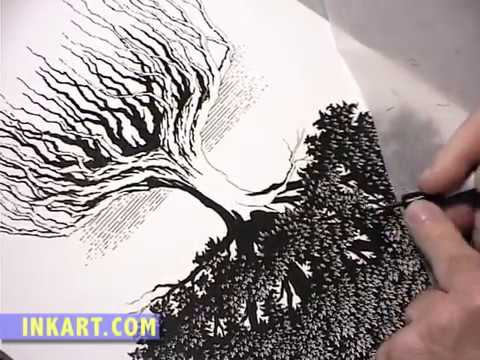 480x360 Scratchboard Illustration Of An Oak Tree With Roots