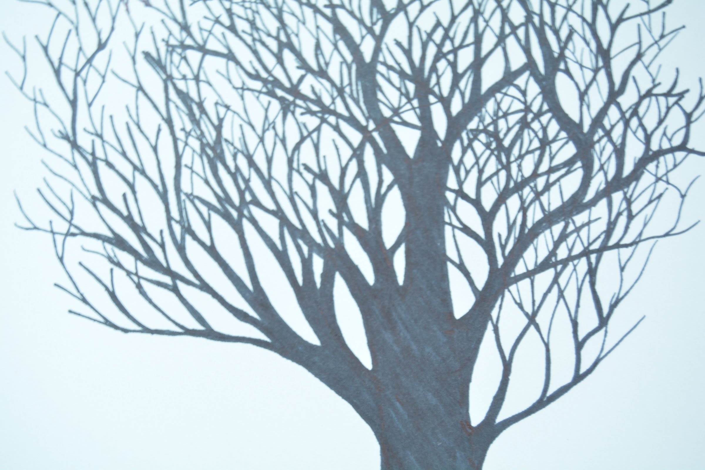 2400x1600 How To Draw A Tree Without Leaves