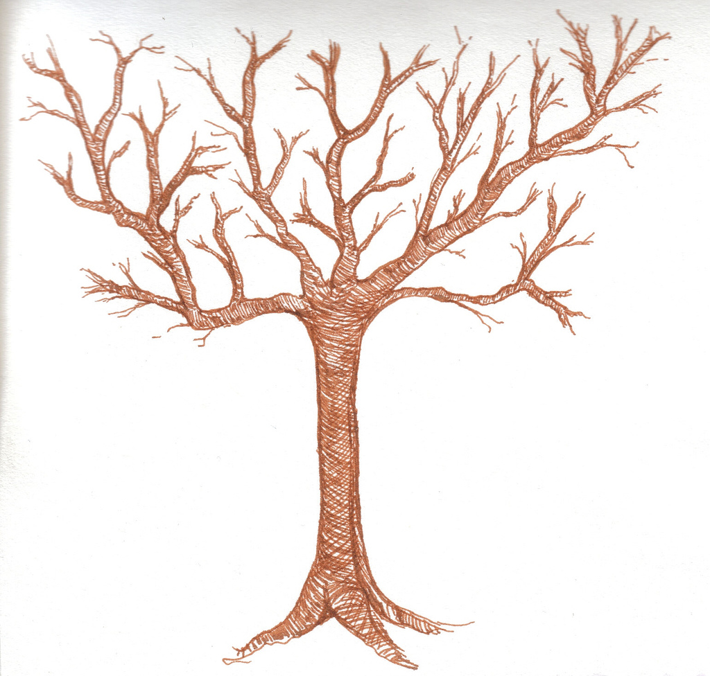 1024x976 Related With How To Draw A Tree Without Leaves, Here Are Several