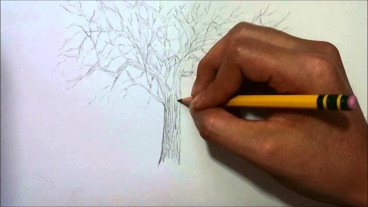 1280x720 Simple Drawing Tree Without Leaves