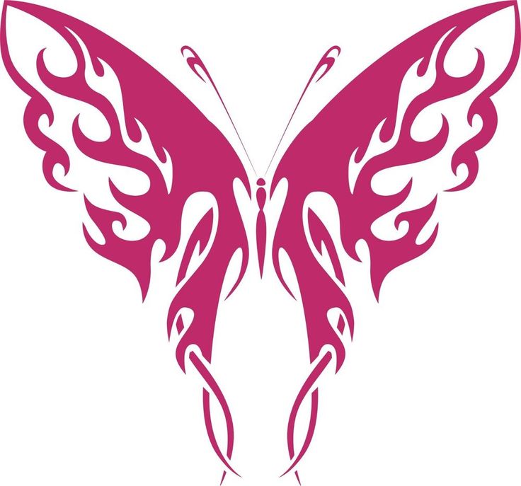 736x687 22 Best Butterfly Images On Butterflies, Butterfly