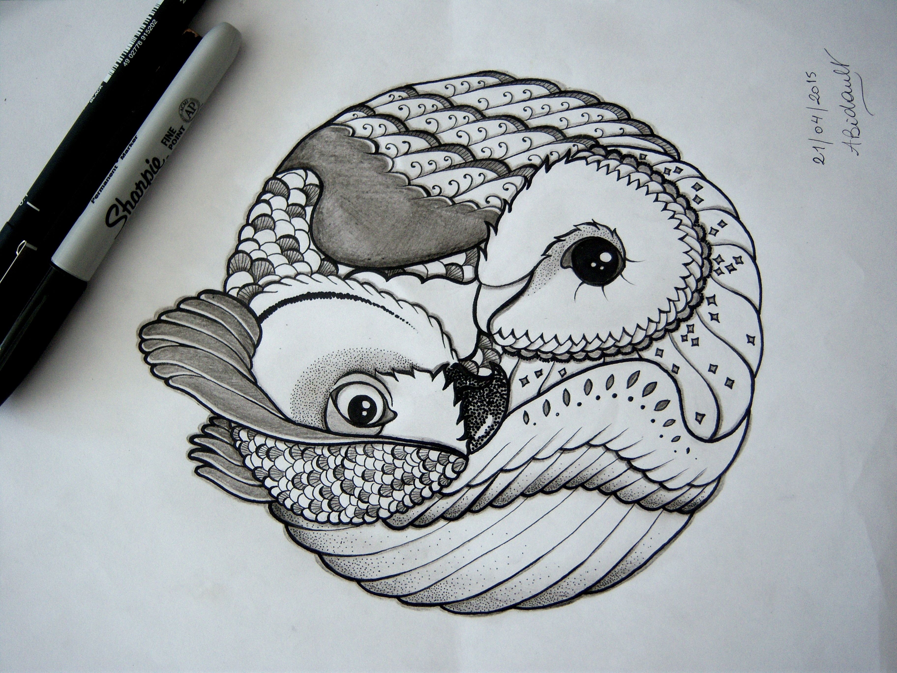3648x2736 Owl Yin Amp Yang Tattoo Design By An Bidault