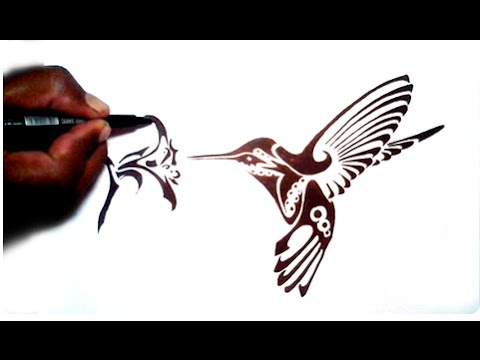 480x360 How To Draw Hummingbird Tribal Tattoo Design