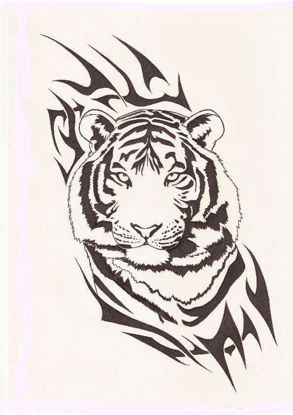 595x842 Tigre Tribal Tribal Tatto Tattoo, Tattoo And Tatting
