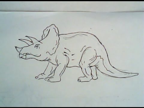 480x360 How To Draw A Triceratops (Line Art)