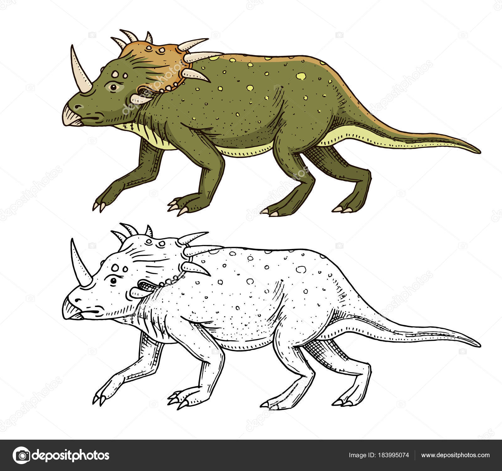 1600x1502 Dinosaur Triceratops, Skeletons, Fossils. Prehistoric Reptiles