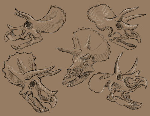 500x386 John Guy's Animated Experience How To Draw Dinosaurs