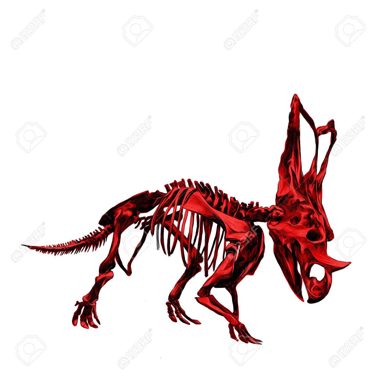 1300x1300 The Skeleton Of The Red Dinosaur Triceratops, Colored Drawing