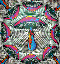 250x265 Gif Trippy Draw Mushroom Shroom Beyondthefieldsweknow