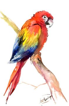 236x365 40 Beautiful Bird Drawings And Art Works For Your Inspiration