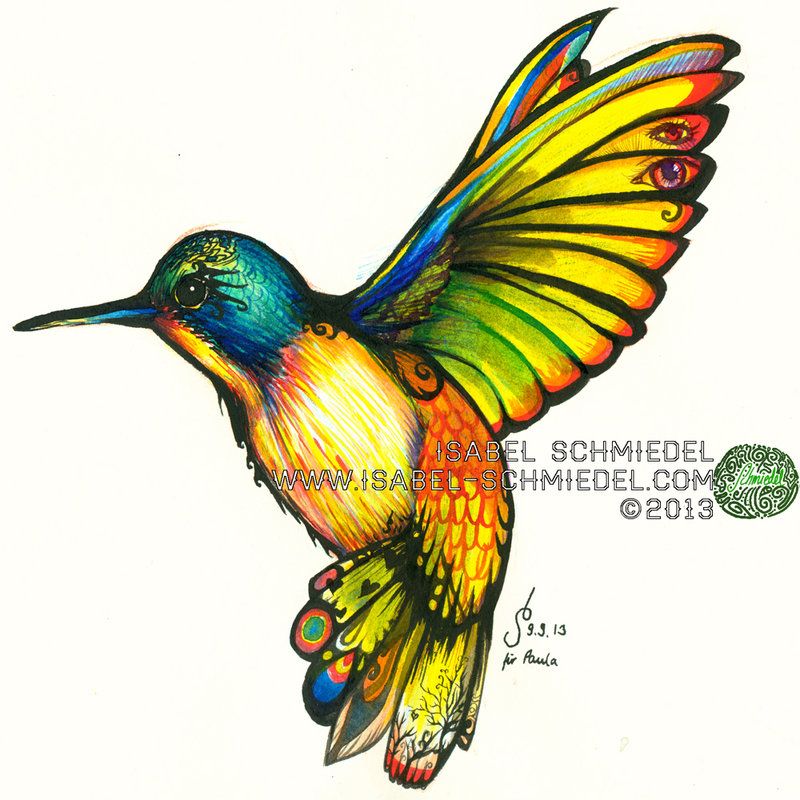 800x800 Ink A4 Summer 2013 A Humming Bird Brimming With The Tropical