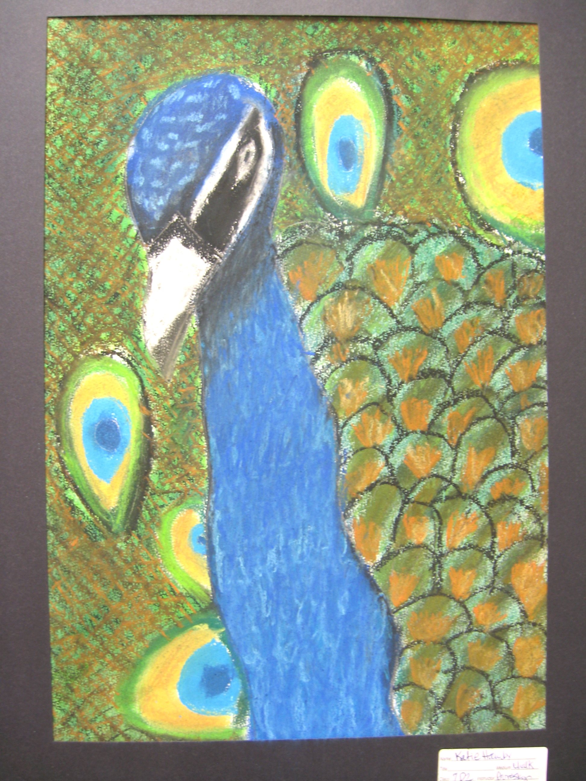 1944x2592 The Smartteacher Resource Tropical Birds In Chalk Pastel