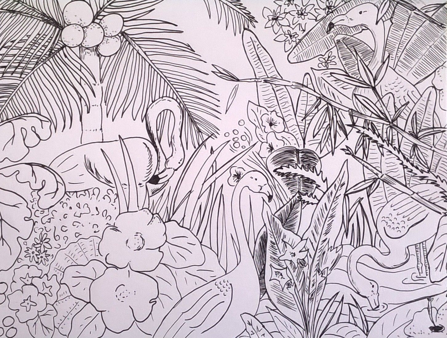 1453x1101 Tropical Draw Draw