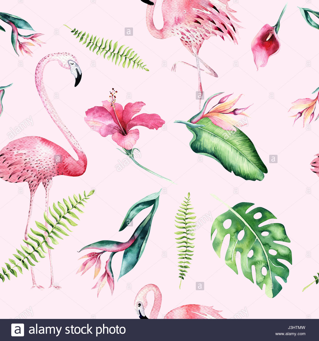 1300x1390 Tropical Isolated Seamless Pattern With Flamingo. Watercolor