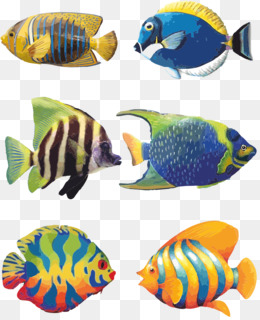 260x320 Free Download Koi Angelfish Tropical Fish Drawing