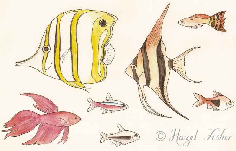 780x500 Hazel Fisher Creations Something Fishy