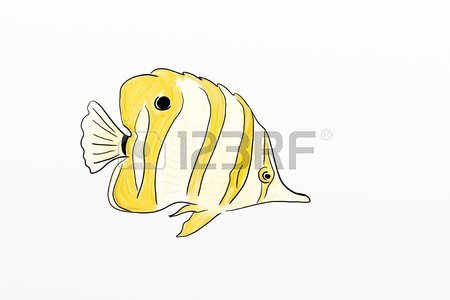 450x300 Yellow Tropical Fish Drawing Stock Photo, Picture And Royalty Free