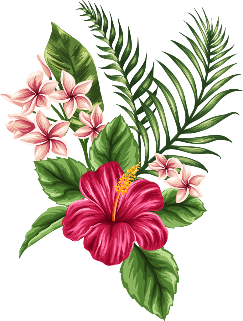 Tropical Flower Drawing at GetDrawings | Free download