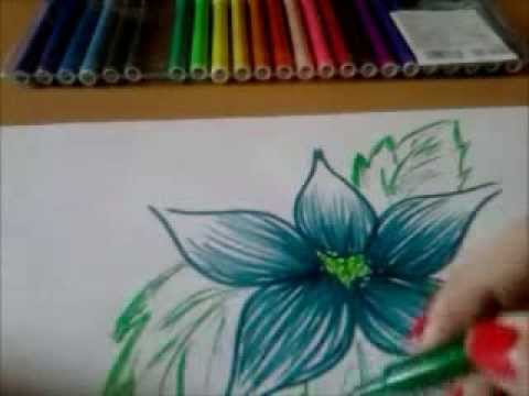 480x360 Tropical Flower Drawing
