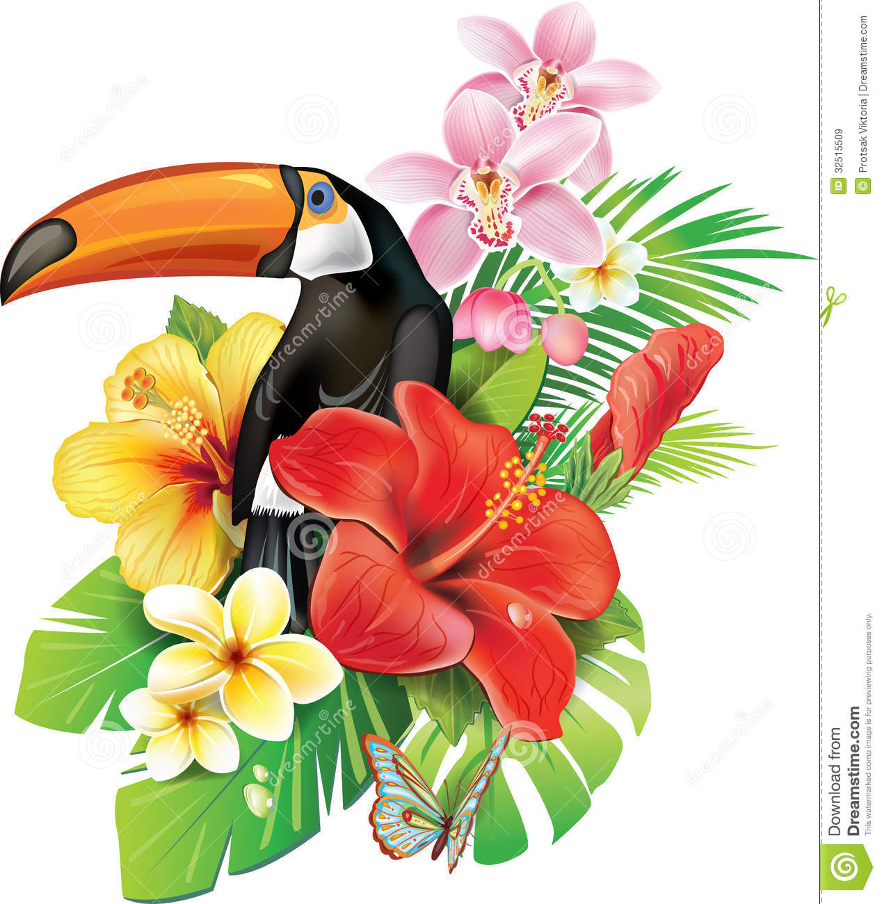 1268x1300 Tropical Plants And Flowers