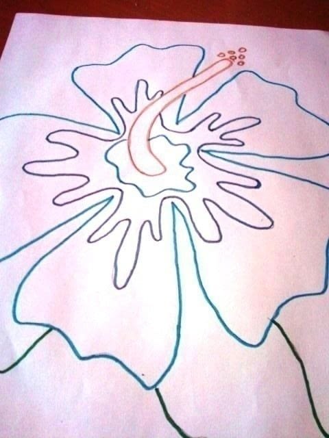 480x640 How To Draw Simple Tropical Flower How To Make A Drawing