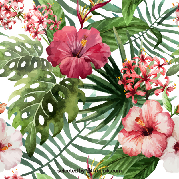 626x626 Tropical Flowers Vectors, Photos And Psd Files Free Download