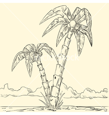 380x400 Tropical Island By Shakerman Tattoo Illustrators