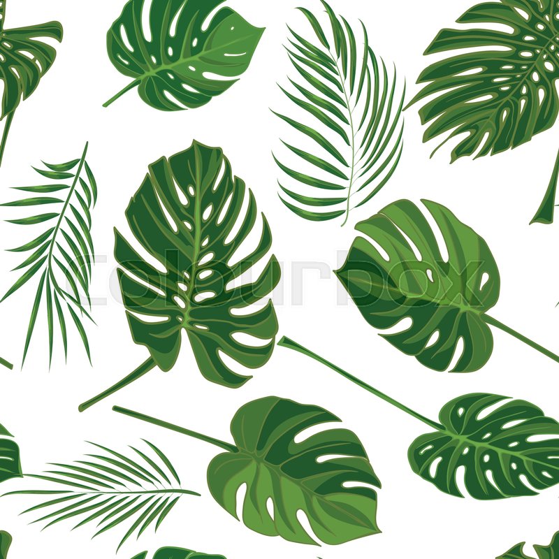 800x800 Seamless Hand Drawn Tropical Pattern With Palm Leaves In Green