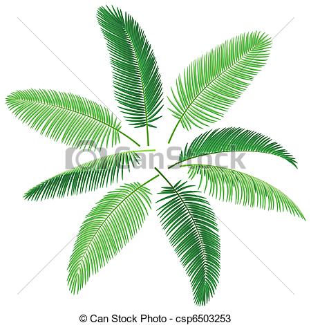 450x470 Tropical Palm Trees