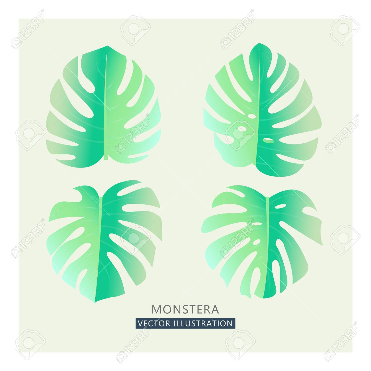 1300x1300 Vector Tropical Palm Leaves. Split Leaf Drawing In Tender Pastel