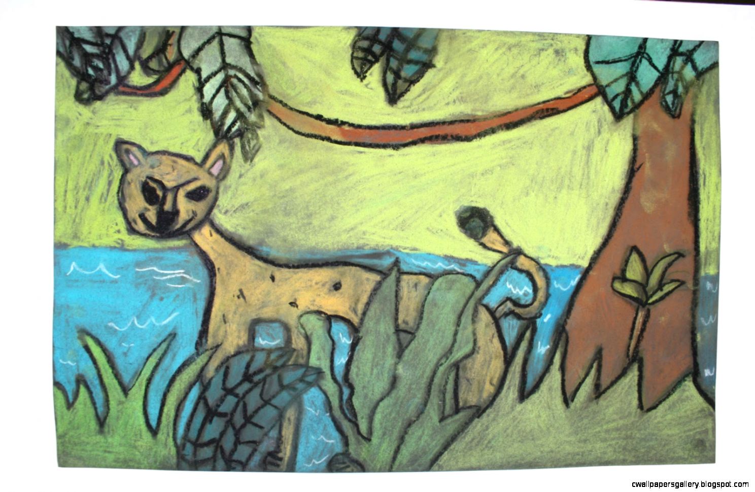 1488x970 Tropical Rainforest Biome Drawing Wallpapers Gallery