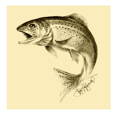 400x400 Trout Drawing, Jumping Fish. Let's Go Fishing! Art
