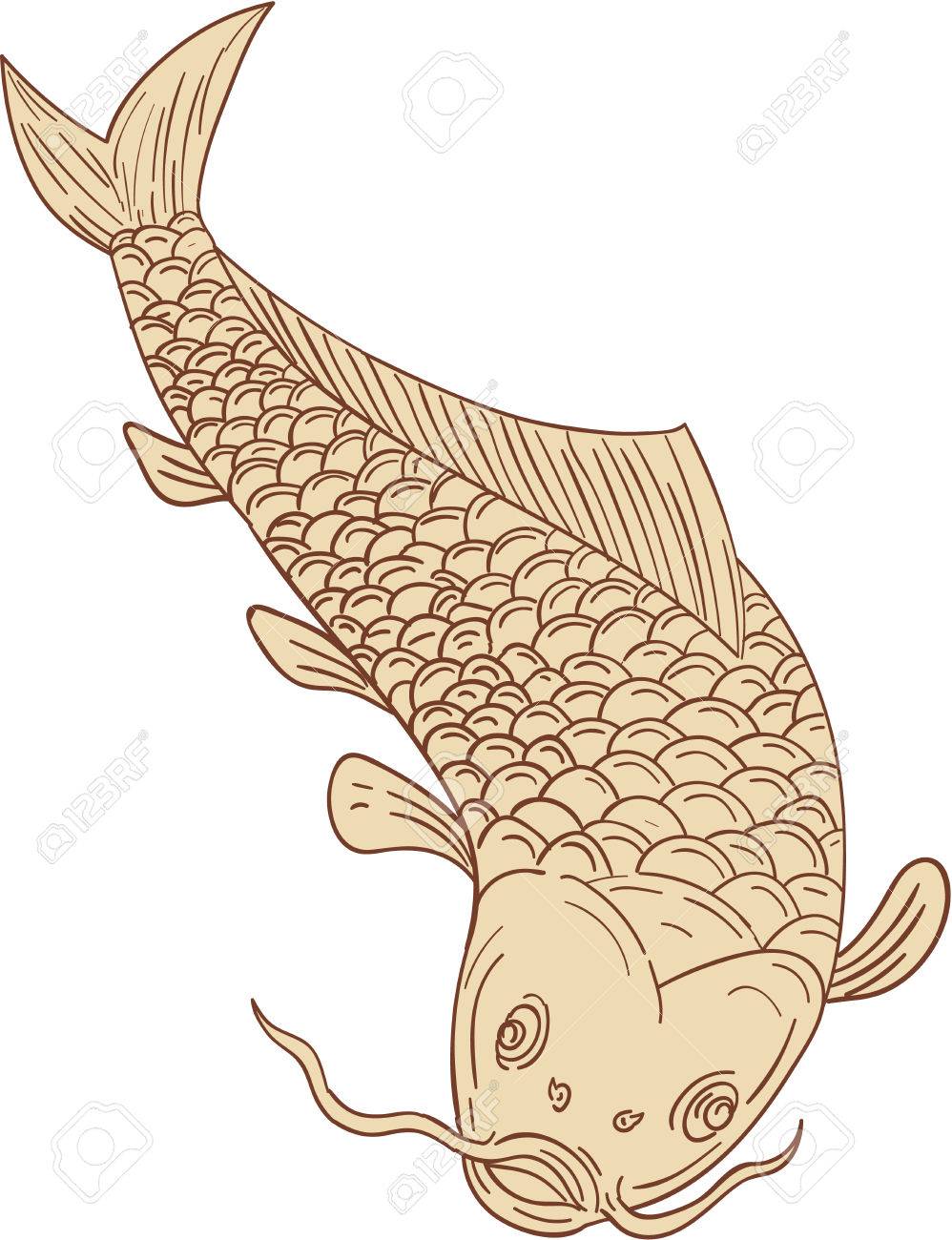 998x1300 Drawing Sketch Style Illustration Of A Trout Fish Diving Down