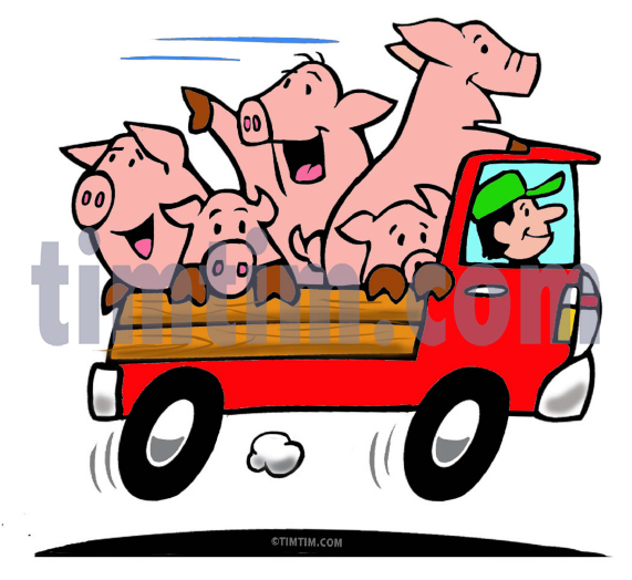 571x524 Free Drawing Of A Truck Full Of Pigs From The Category Cars Trucks
