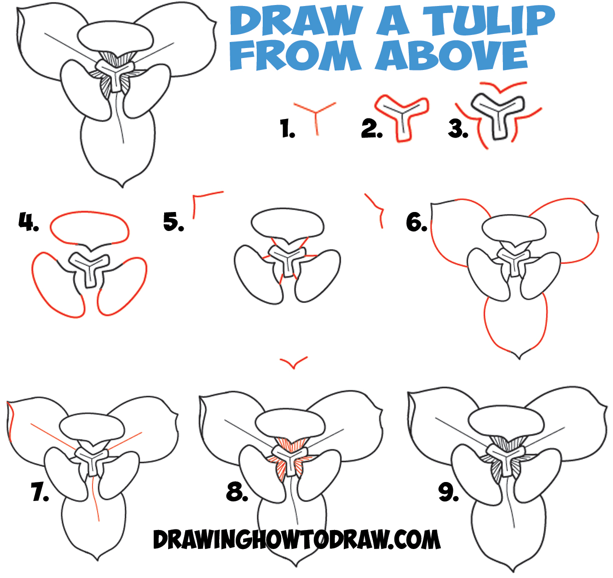 1225x1156 How To Draw Tulips