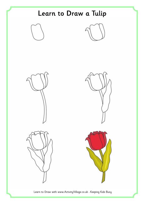 460x650 Learn To Draw A Tulip 460 0.jpg