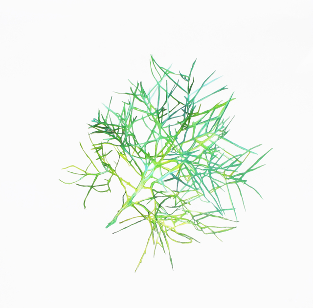 640x629 Christa Dalien Works On Paper