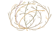 232x131 Nature Sketchpad Plum Landing Pbs Kids