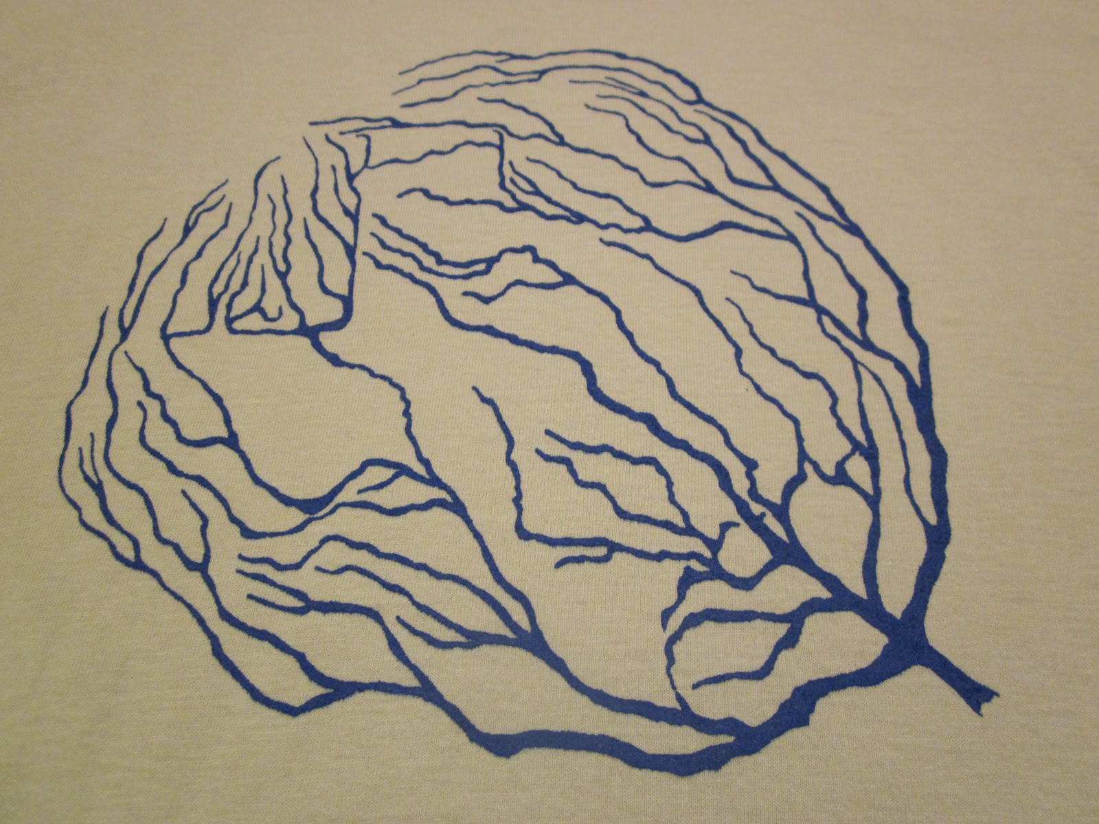 1600x1200 Texas Rivers Tumbleweed T Shirt Design