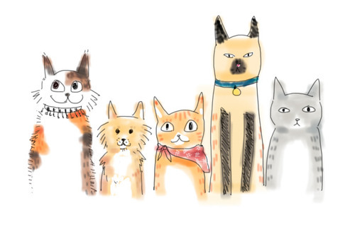 500x318 Cat Drawing Via Tumblr On We Heart It