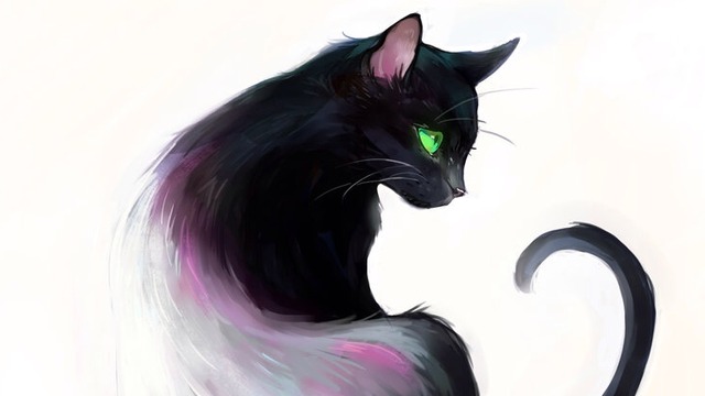 640x360 Black Cat Drawing Tumblr